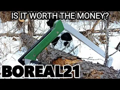 BOREAL21 SAW REVIEW