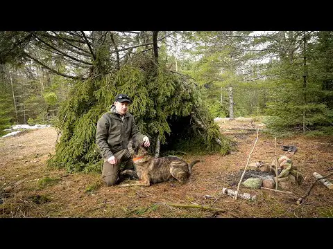 BUSHCRAFT SKILLS: Build a Debris Hut #WithMe