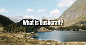 what is bushcraft