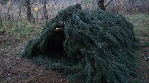 bushcraft debris hut