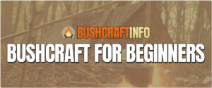 bushcraft for beginners