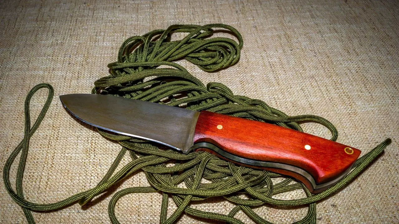 What is the Best Grind For a Bushcraft Knife? BushcraftInfo