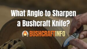 What Angle to Sharpen a Bushcraft Knife?