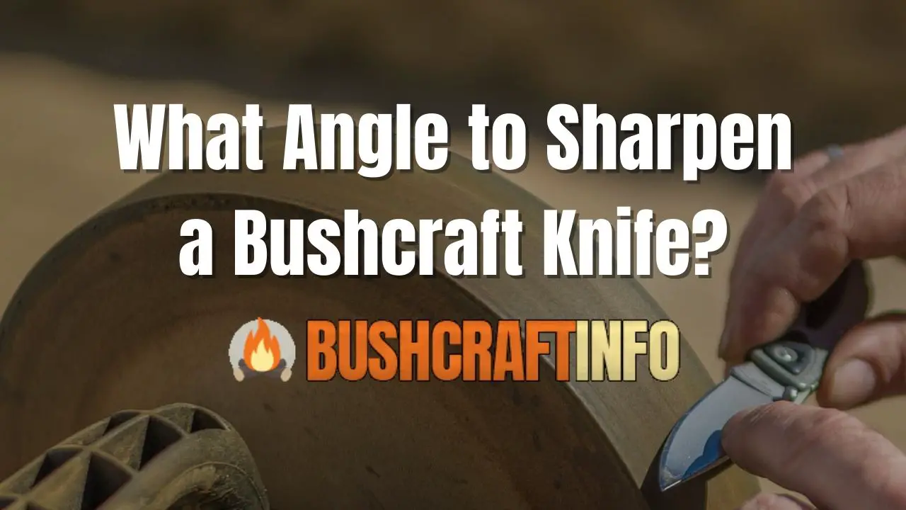 What Angle to Sharpen a Bushcraft Knife? BushcraftInfo