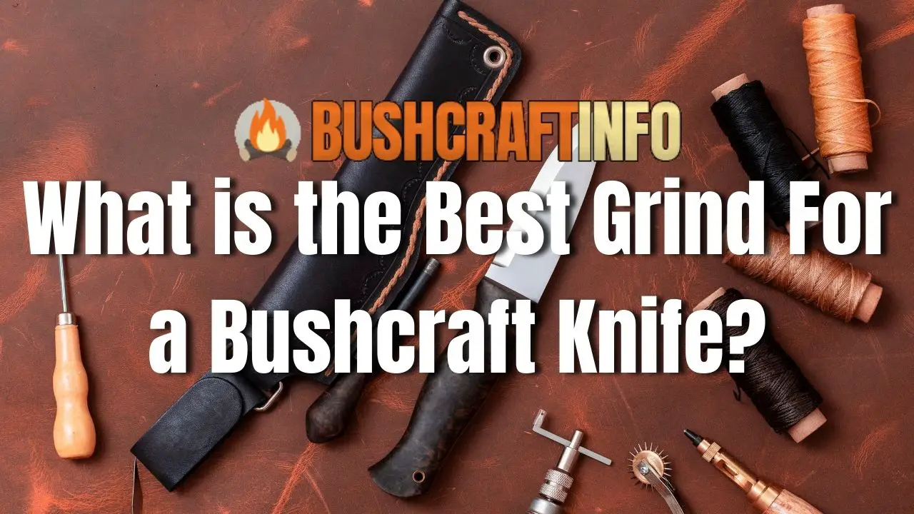 What is the Best Grind For a Bushcraft Knife? BushcraftInfo