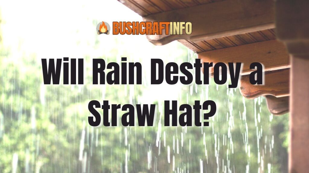 Will Rain Destroy a Straw Hat?