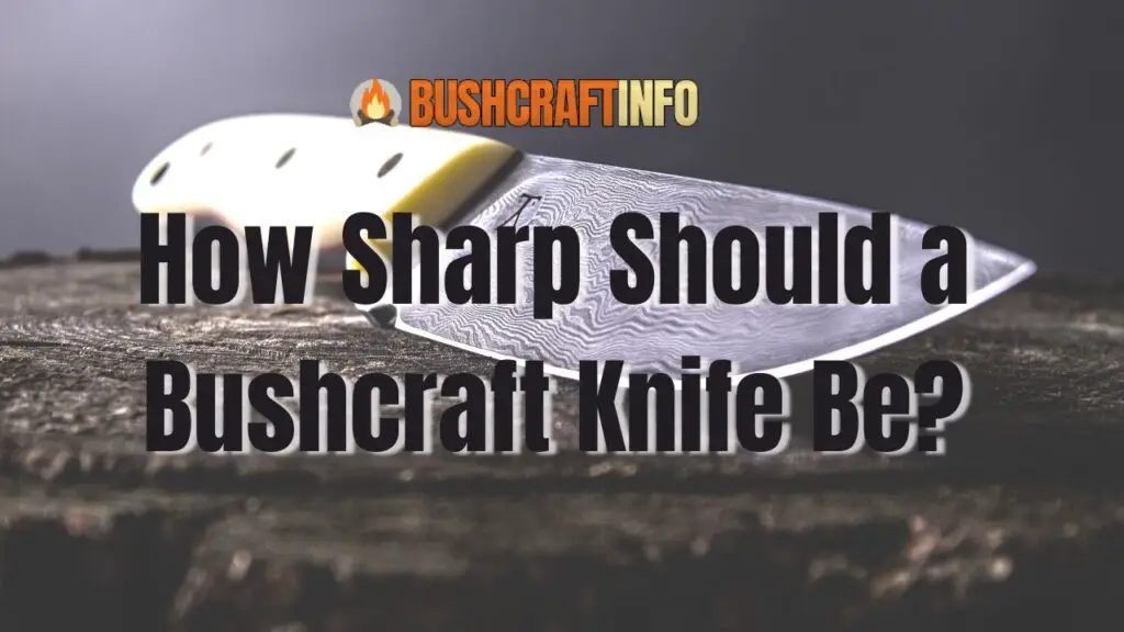 How Sharp Should a Bushcraft Knife Be?