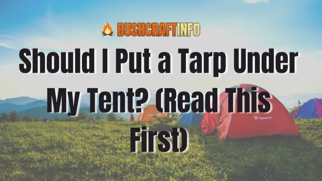 Should I Put a Tarp Under My Tent? (Read This First)