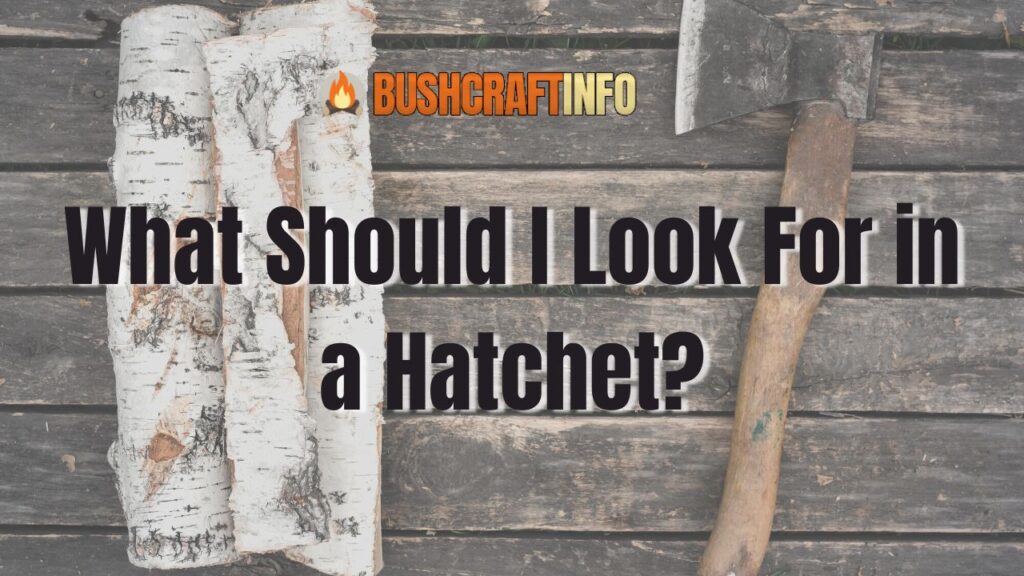 What Should I Look For in a Hatchet?