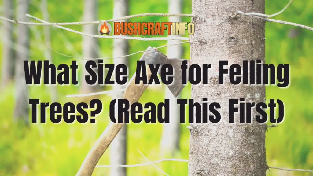 What Size Axe for Felling Trees?