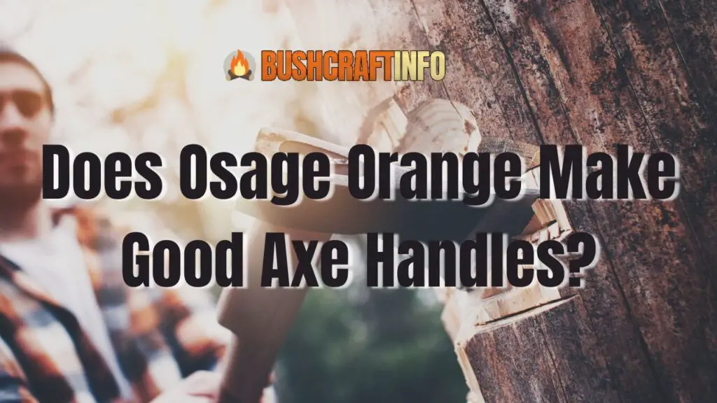 Does Osage Orange Make Good Axe Handles?