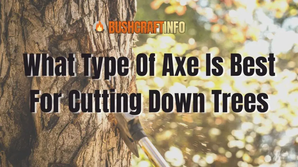 What Type Of Axe Is Best For Cutting Down Trees